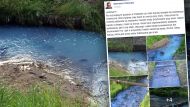 Неизвестное вещество окрасило реку Копель в окрестностях Конинко в Познани